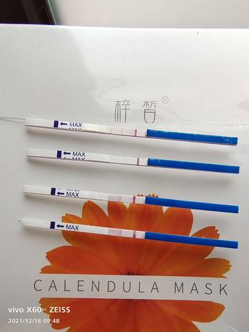 journal_insert_pic_1682825851