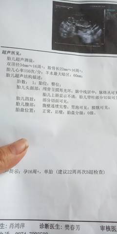 journal_insert_pic_1678688703