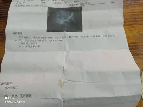 journal_insert_pic_1681672371