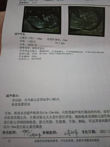 journal_insert_pic_1681692101