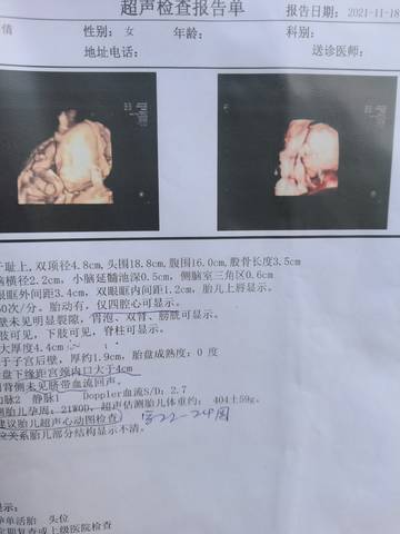 journal_insert_pic_1683491675