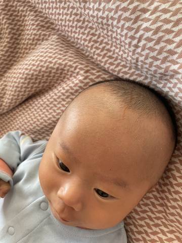 journal_insert_pic_1690583436