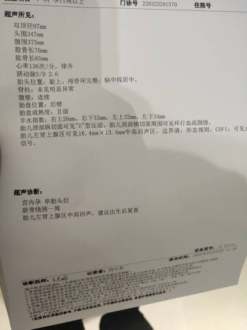 journal_insert_pic_1740898775