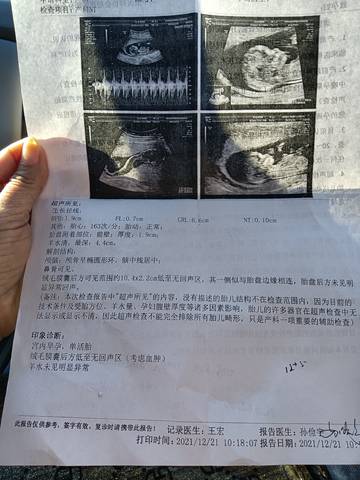 journal_insert_pic_1684040791