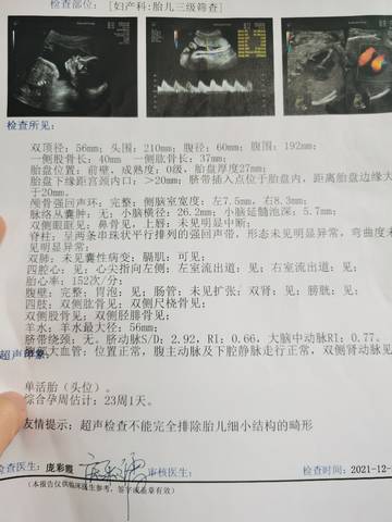 journal_insert_pic_1685340460