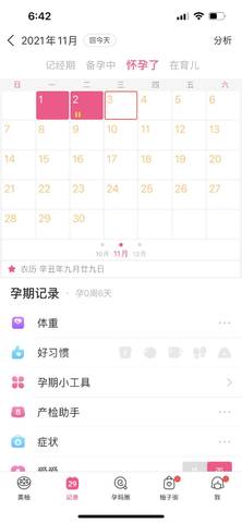 journal_insert_pic_1688447456