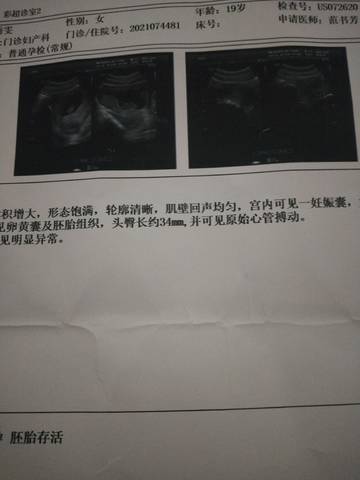 journal_insert_pic_1676323014