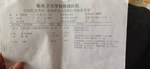 journal_insert_pic_1684176397