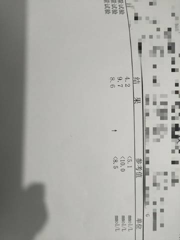 journal_insert_pic_1676654381