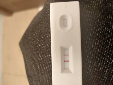 journal_insert_pic_1678903246