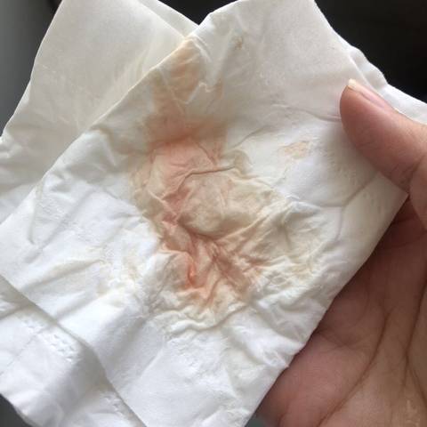 journal_insert_pic_1689010408