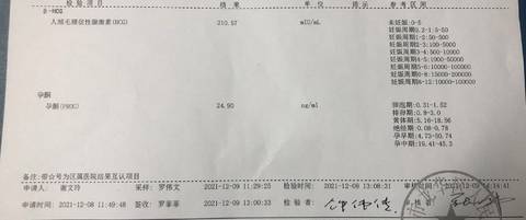 journal_insert_pic_1677514861