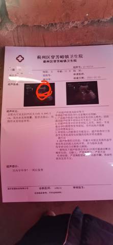 journal_insert_pic_1679393501