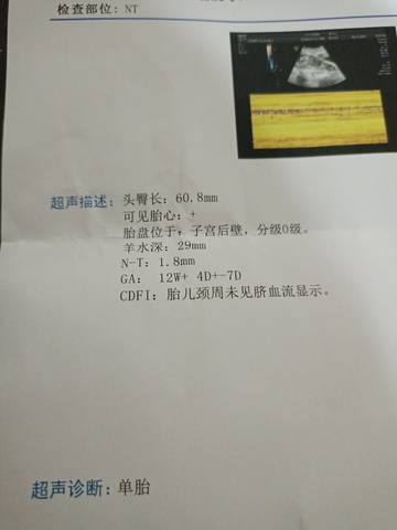 journal_insert_pic_1676004637