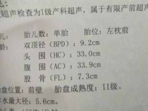 journal_insert_pic_1677407805