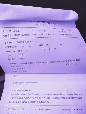 journal_insert_pic_1719653538