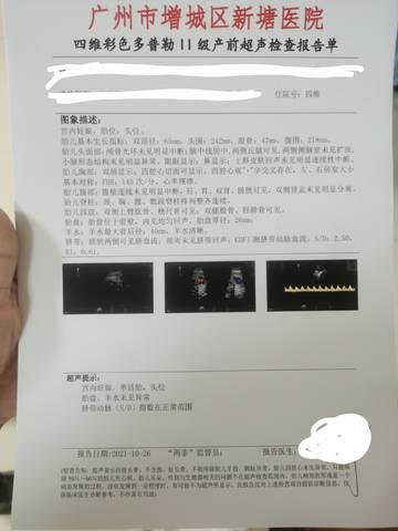 journal_insert_pic_1681607443