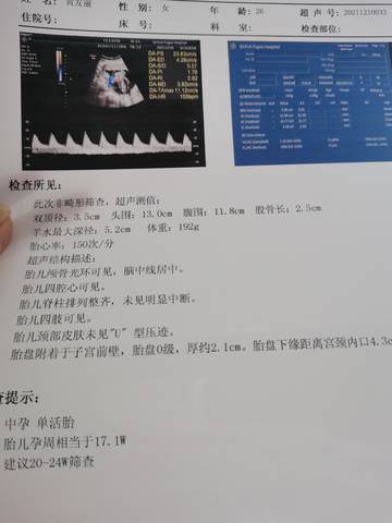 journal_insert_pic_1677936874