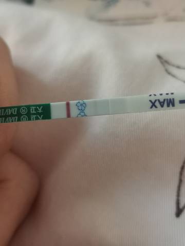 journal_insert_pic_1682510991