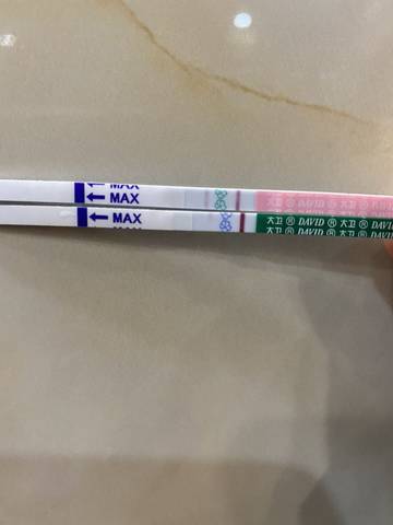 journal_insert_pic_1719806946