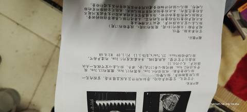 journal_insert_pic_1686628318