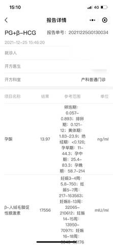 journal_insert_pic_1689566041