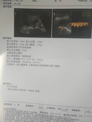 journal_insert_pic_1673561499