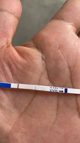 journal_insert_pic_1688456125