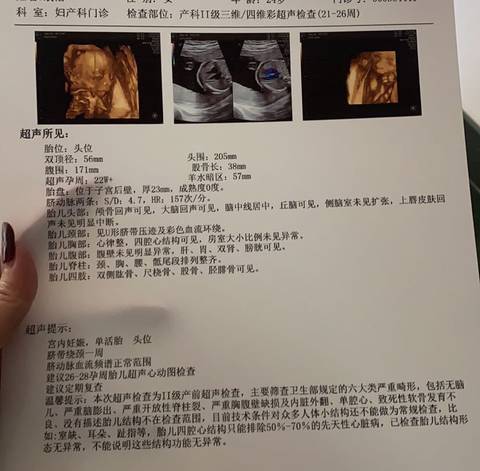 journal_insert_pic_1688352879