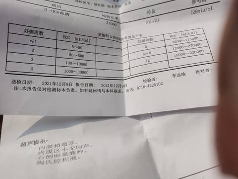 journal_insert_pic_1676673075