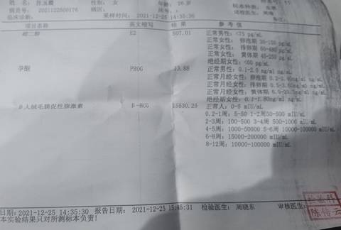 journal_insert_pic_1686677623