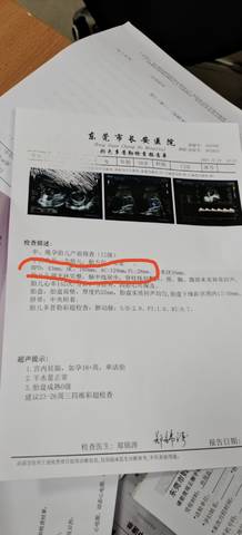 journal_insert_pic_1682791792