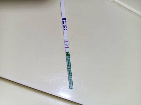 journal_insert_pic_1687169143