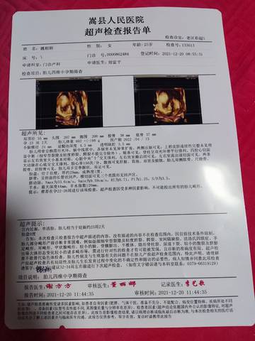 journal_insert_pic_1686314553