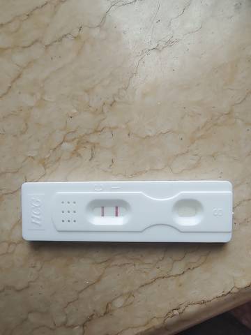 journal_insert_pic_1677680265