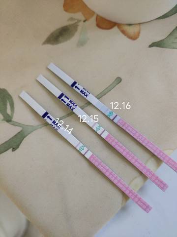 journal_insert_pic_1686288245