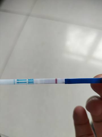 journal_insert_pic_1719467970