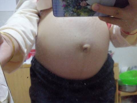 journal_insert_pic_1689077151