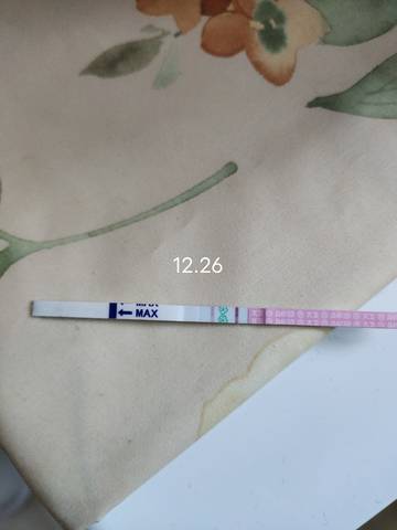 journal_insert_pic_1686288256