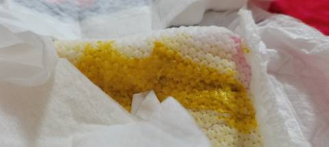 journal_insert_pic_1682854458