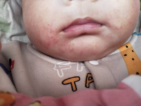 journal_insert_pic_1679537819