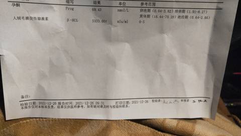 journal_insert_pic_1686561449