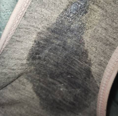 journal_insert_pic_1687264308