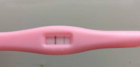 journal_insert_pic_1682285976