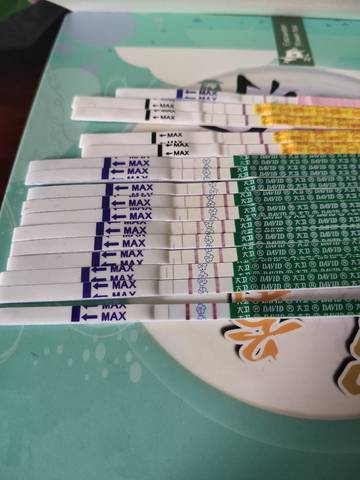 journal_insert_pic_1688642766