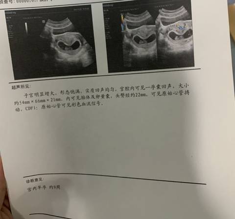 journal_insert_pic_1689348327