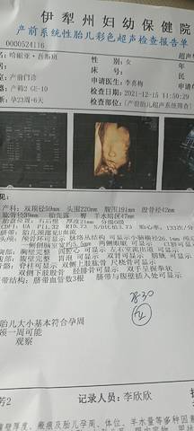 journal_insert_pic_1684254467