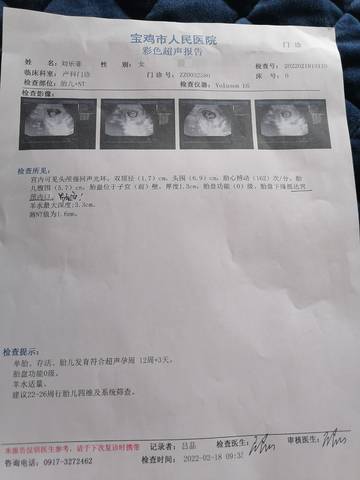 journal_insert_pic_1719433393