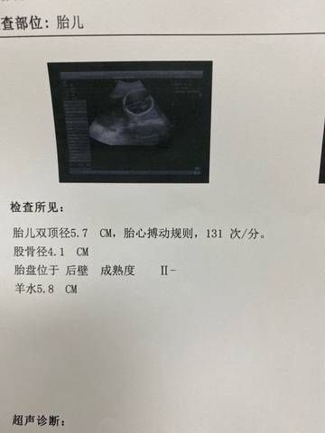 journal_insert_pic_1685181303