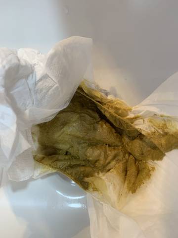 journal_insert_pic_1681889938